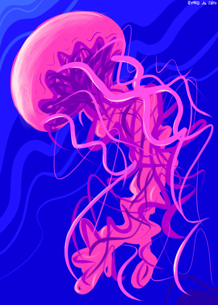 Jellyfish